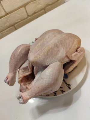 Курочки бройлерные