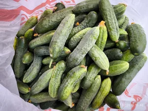 Огурчики