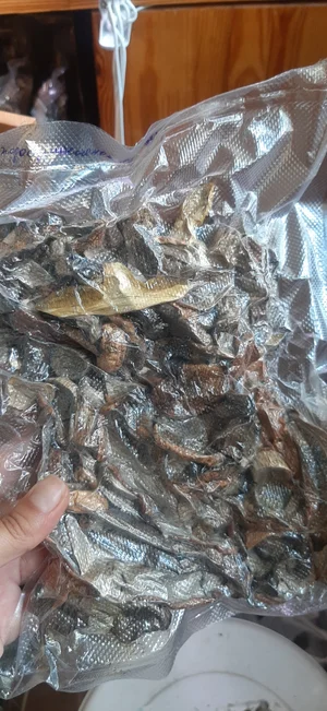 Маринованные маслята