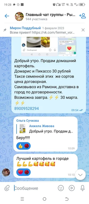 Картофель семенной 40ка дневку