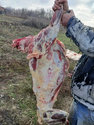 Говядина Передок
