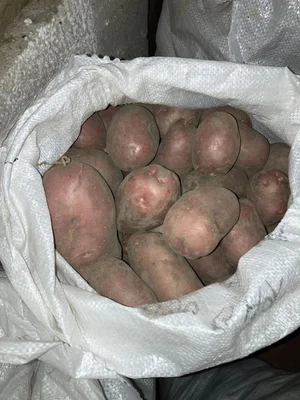 Картофель Коломбо