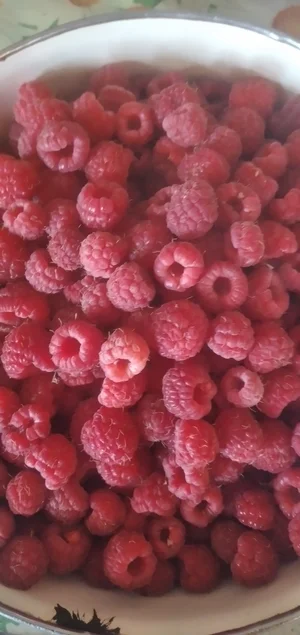 Малина