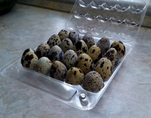 Мясо перепелов