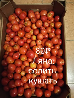 Помидоры