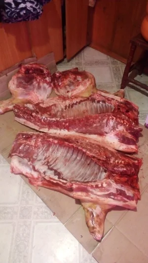 Сало