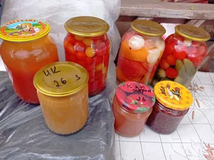 Столовый виноград
