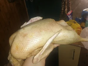 Мясо утки