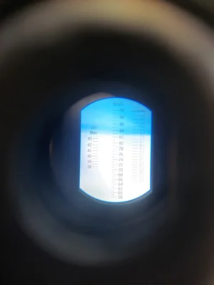 Мёд