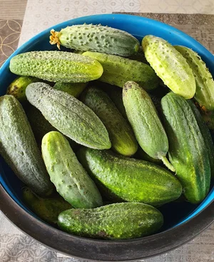 Кабачки