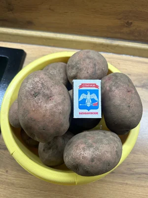 Картофель домашний