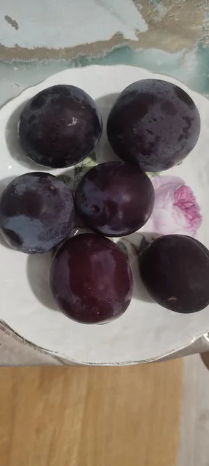 Огурцы