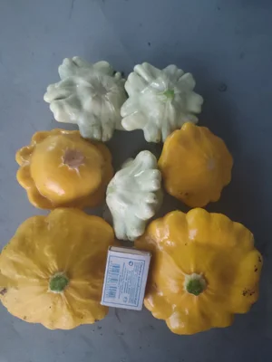 Кабачки