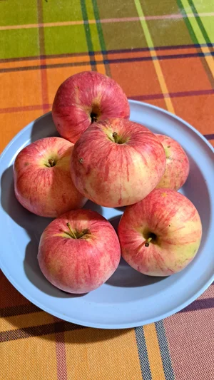 Яблоки крупные