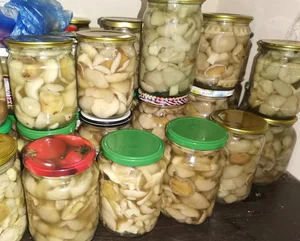 Маринованные маслята