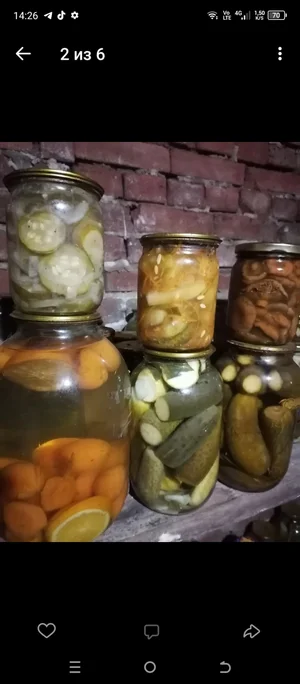 Картофель