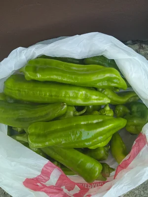 Огурцы