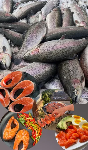 Форель