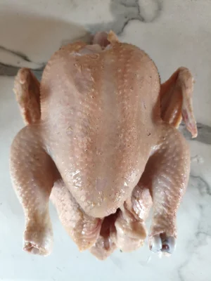 Мясо бройлера
