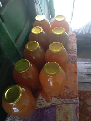 Сок яблочный