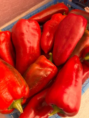 Помидоры крупные, мясистые