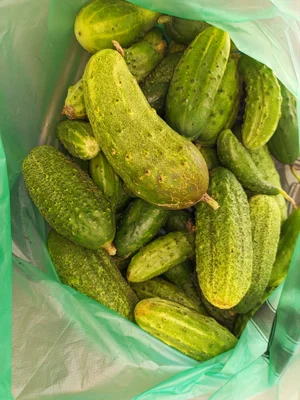 Кабачки