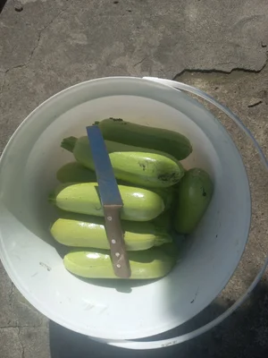 Кабачки