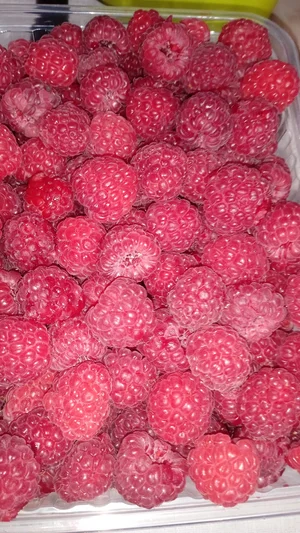 Спаржевая фасоль
