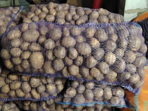 Картофель