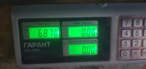 Огурчики