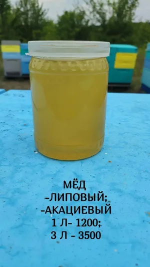 Мед