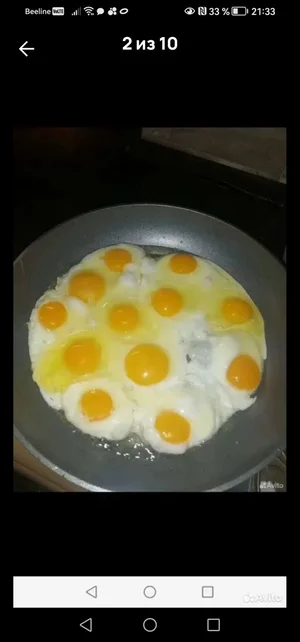 Индюшиное яйцо