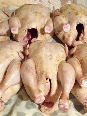 Куры суповые