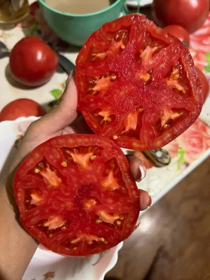 Розовый помидор средний