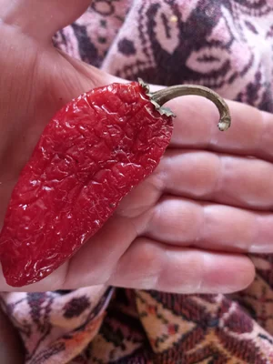 Красный острый перчик