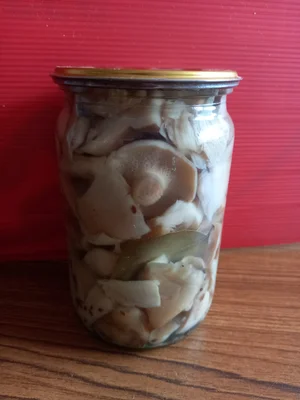 Маринованные грибы вешенки летние