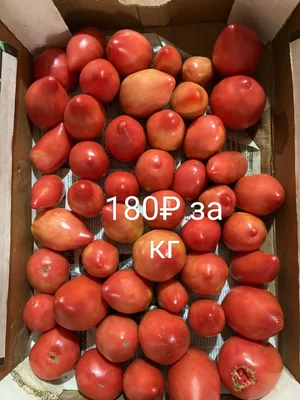 Огурчики