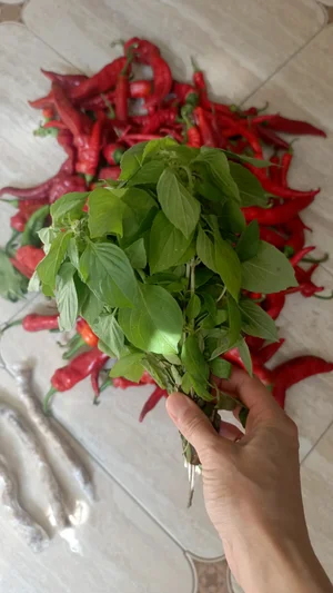 Горький перец
