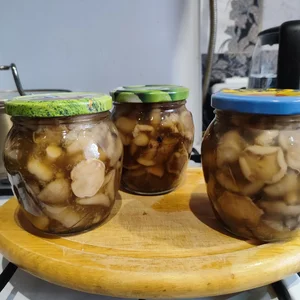 Грибы маслята
