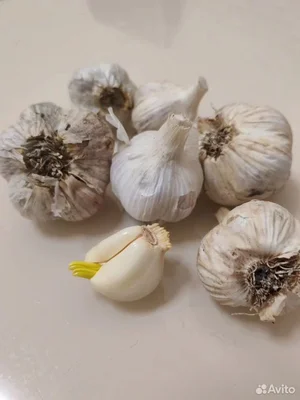 Огурцы + капуста + болгарский перец (салат)