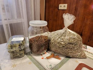 Голубика