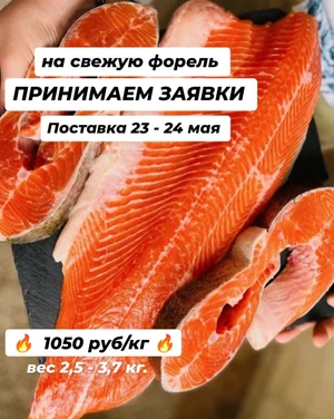 Форель