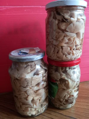 Маринованные грибы вешенки летние