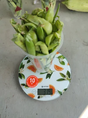 Букет