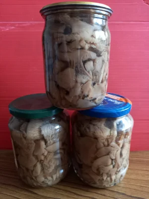 Маринованные грибы вешенки летние