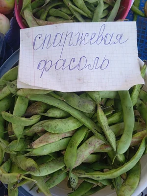 Фасоль спаржевая