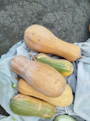 Пельмени со свининой