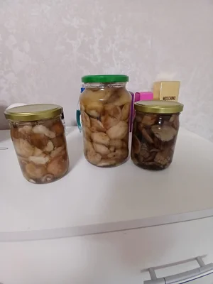 Грибы маринованные маслята