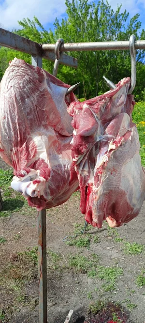 Говядина Передок