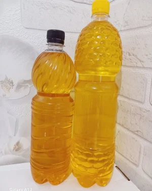 Курочки бройлеры